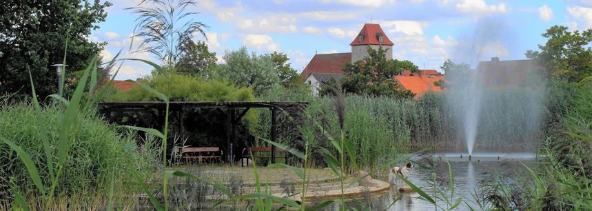 Startseite Stadt Schöningen