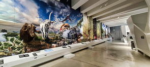 Blick in die Ausstellungsräume vom Forschungsmuseum