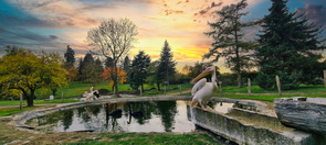 Der idyllische Tierpark auf dem Klosterareal ist öffentlich 
